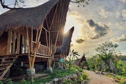 Check-in Villa Penida Bambu Green