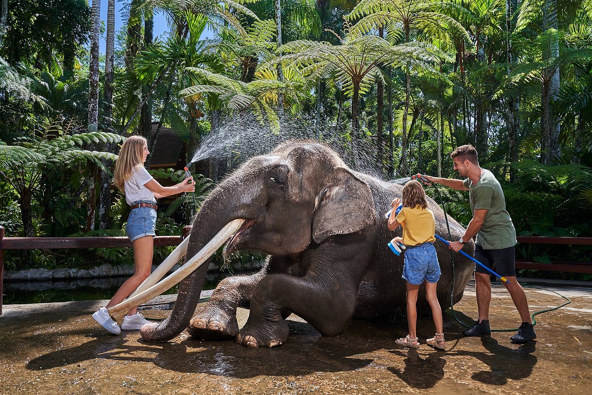 Mason Elephant Park Bali
